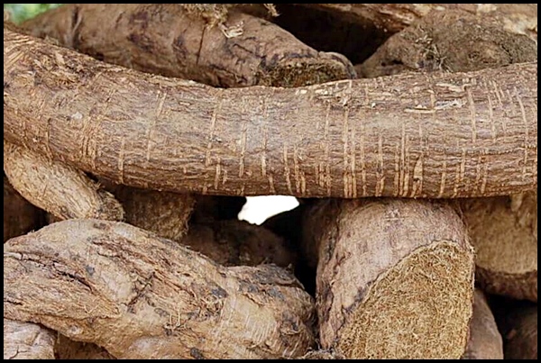 골다공증에 좋은 음식 BEST 8 골다공증에 좋은 음식 BEST 8