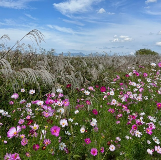 10월 가을축제 BEST 5