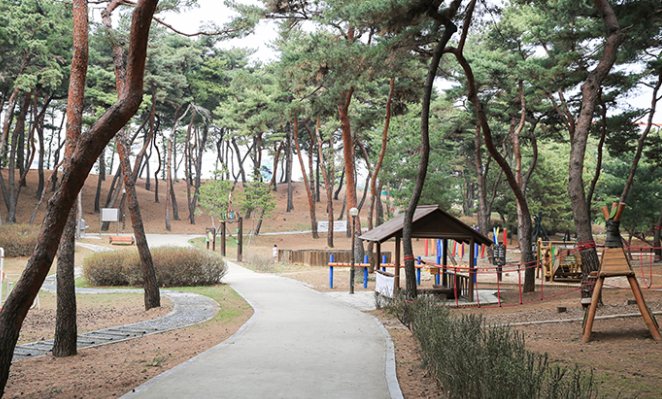 청주 솔밭공원
