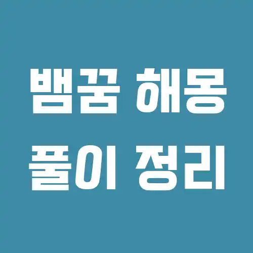 뱀 꿈해몽 풀이