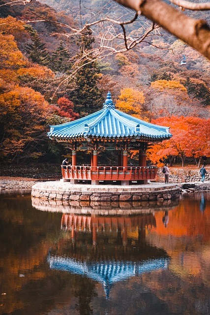 고교 무상교육 통과