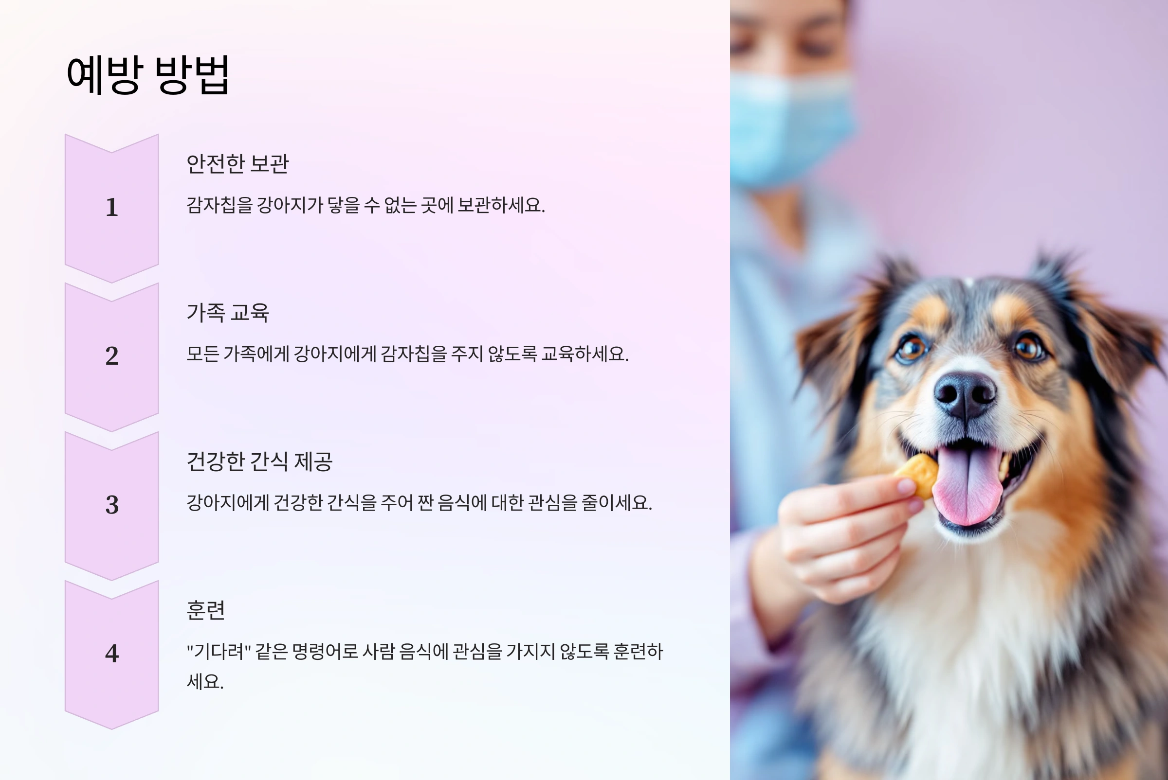 강아지가 감자칩을 먹었을 때 소금 과다 섭취 문제