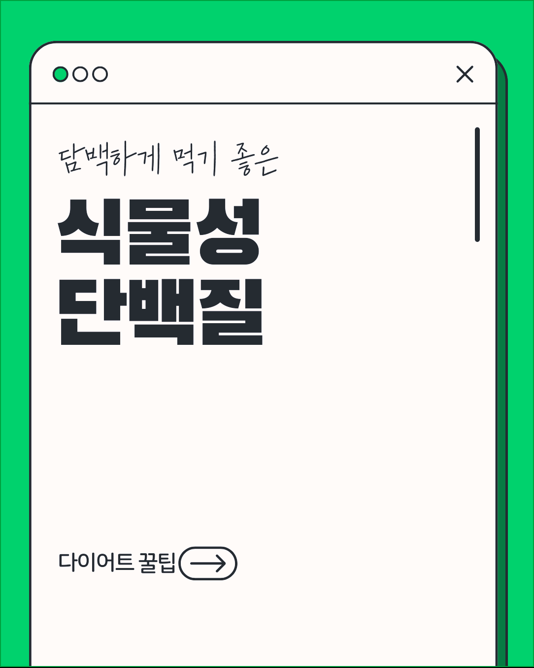 담백하게 먹기 좋은 식물성 단백질