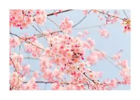잔잔한 발라드