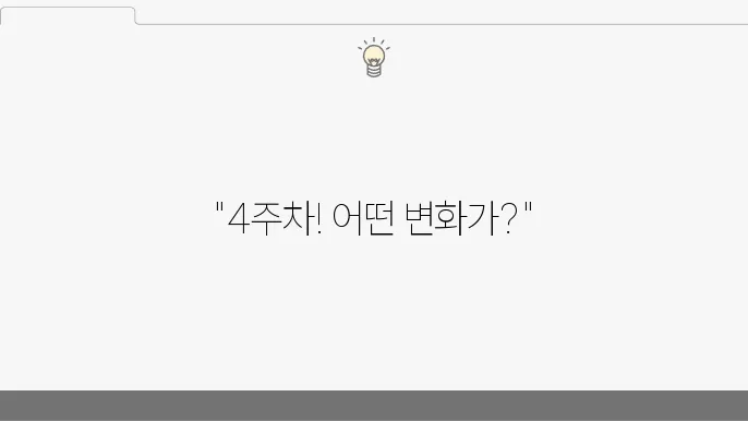 체중 감소 효과를 보인 후기