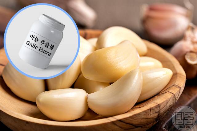 콜레스테롤 낮추는 영양제 추천 마늘추출물