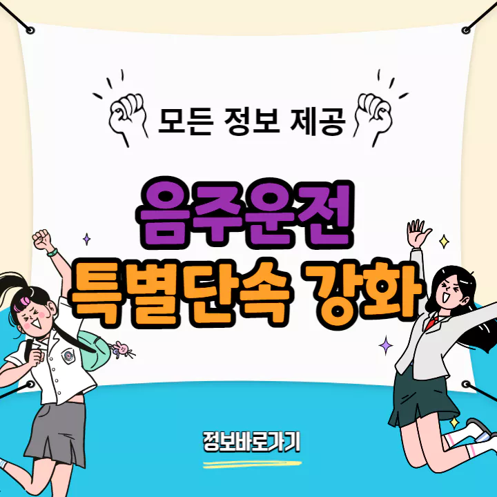 대낮-음주운전-포함-단속-강화
