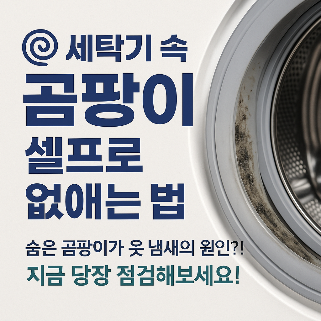 [찌든 때 없이 산다 19]🌀 세탁기 속 곰팡이, 셀프로 없애는 법