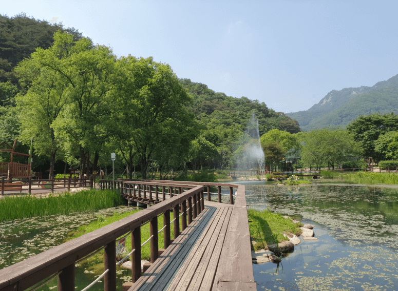 문경생태미로공원