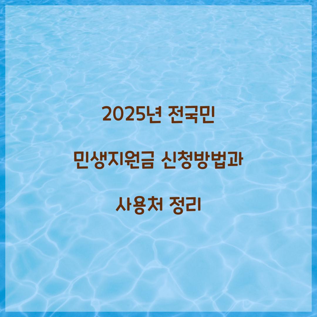 2025년 전국민 민생지원금