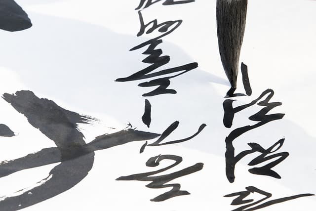 중국 전통 서예