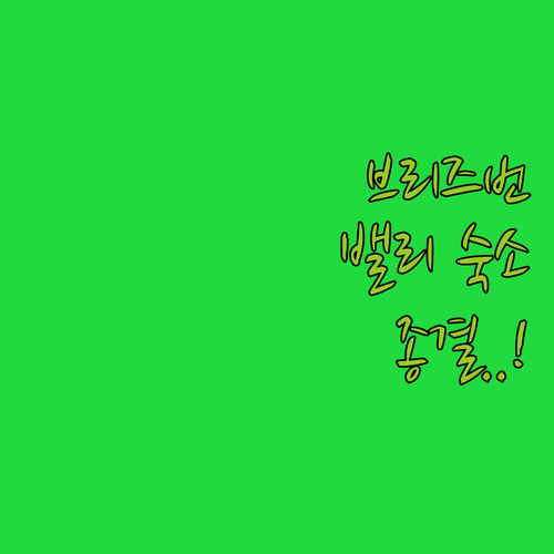 브리즈번 포티튜드 밸리 숙소 추천 5..