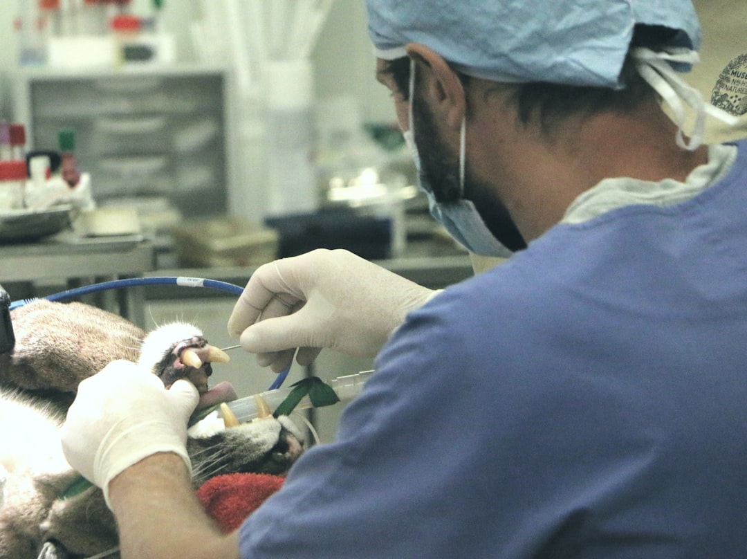 Procedure