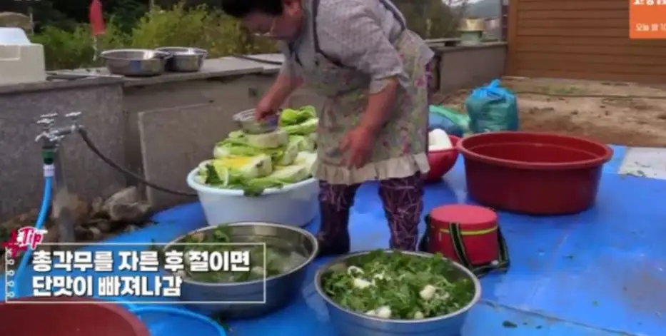 총각무 다듬고 절이기