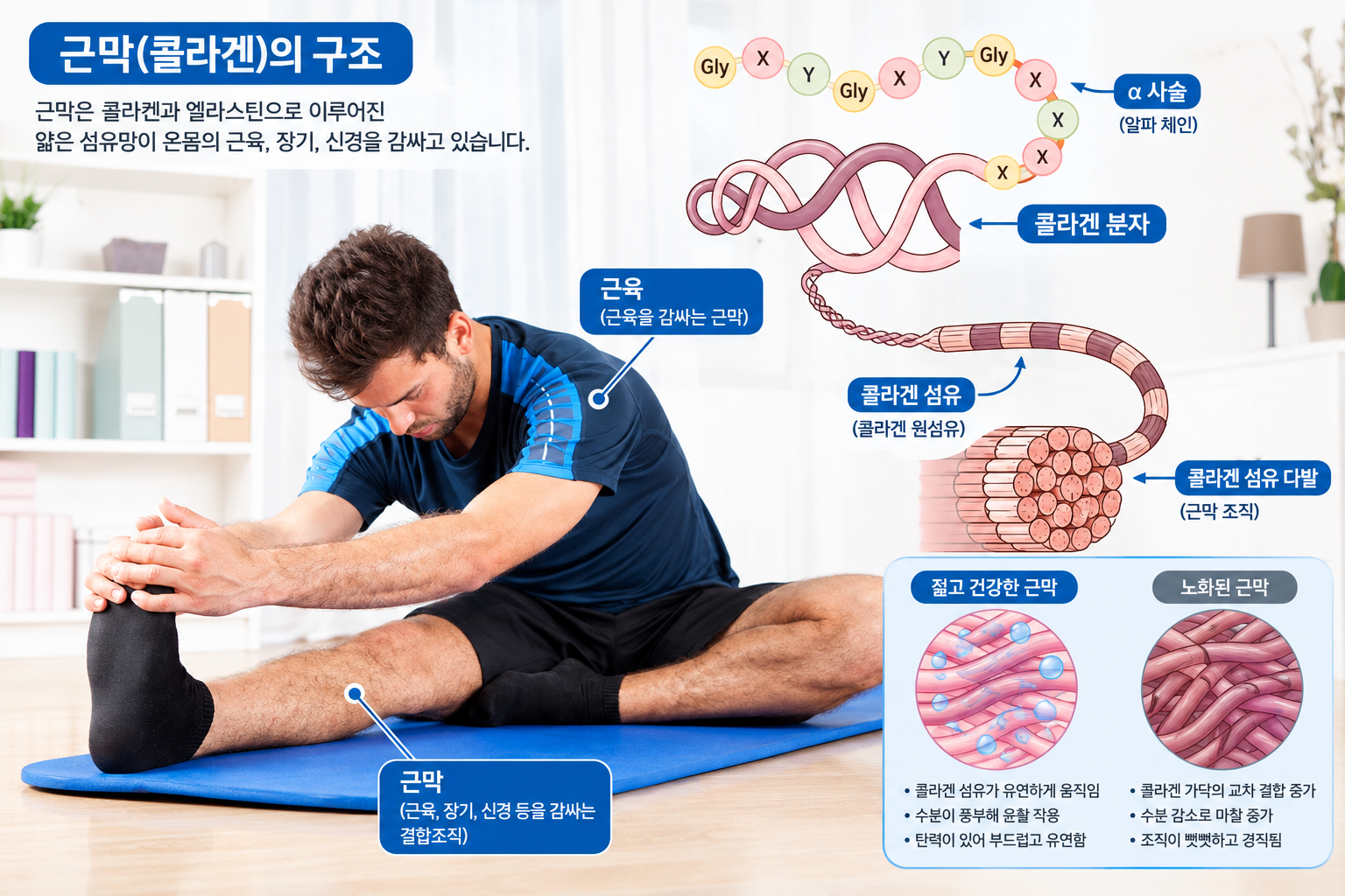 90초 이상 정적 유지를 설명할 때 활용할 수 있는 대표적인 햄스트링 스트레칭 자세