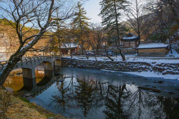 충청권 겨울에 걷기 좋은 숲길 & 트레킹 추천 BEST 7