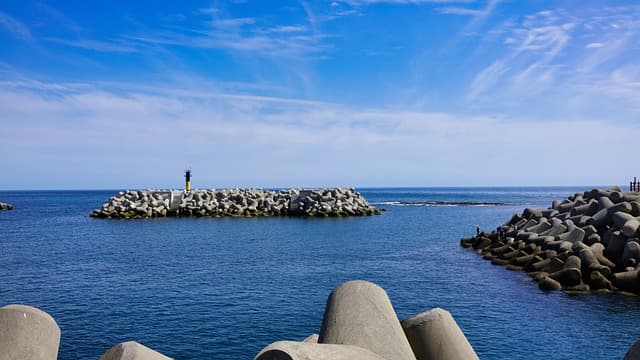 "강릉 커피 거리와 커피의 마법사 이야기"