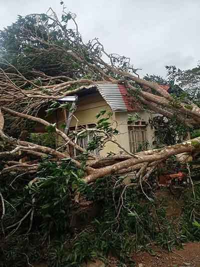 태풍으로 무너진 집