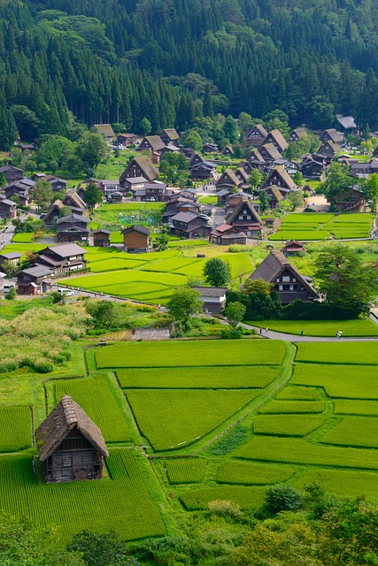 아파트 옥상에서 농사를 짓는 방법과 성공 사례