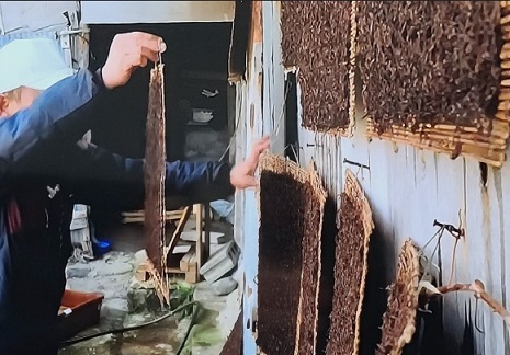 한국기행-울릉도-돌김