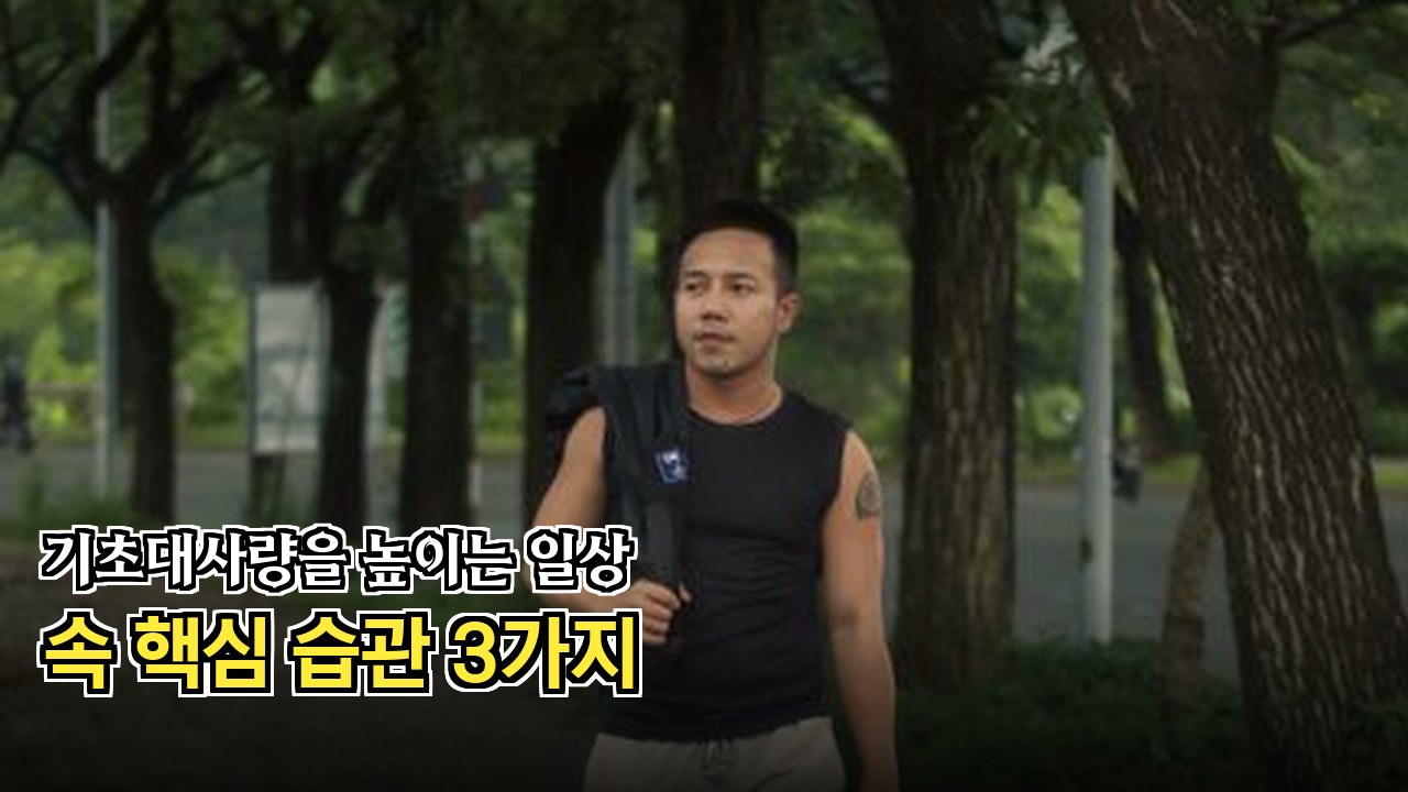 정제당 없는 저칼로리 건강 간식 모음