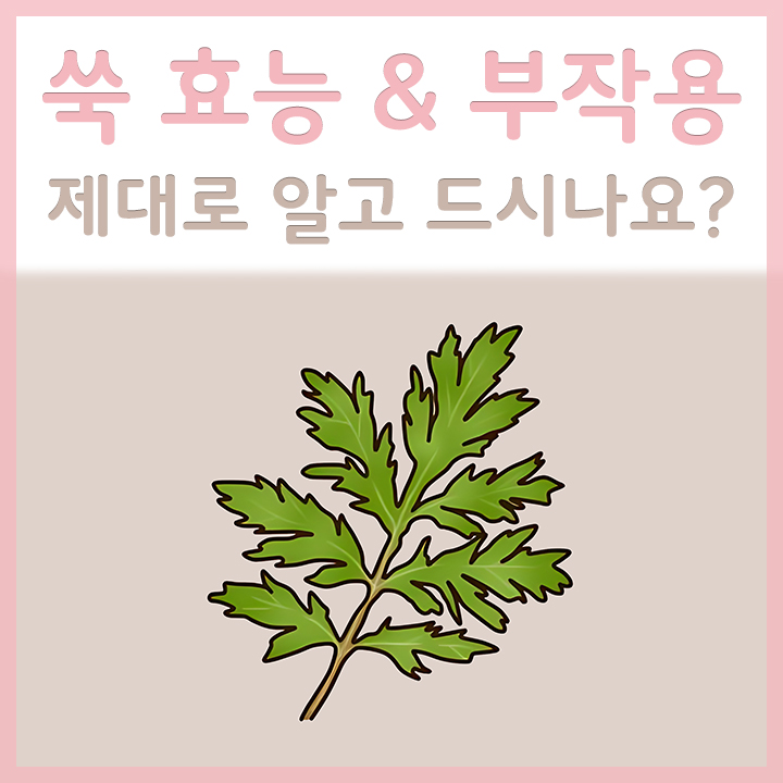 쑥