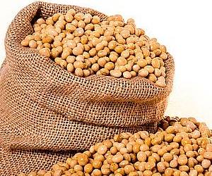 콩은 질 좋은 단백질로 당뇨에 좋은 음식입니다.