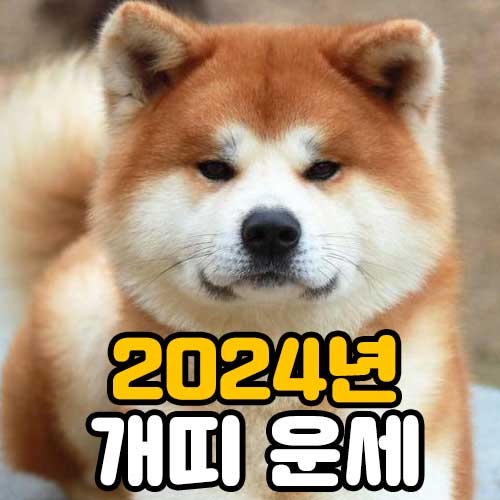 2024년 개띠운세 썸네일