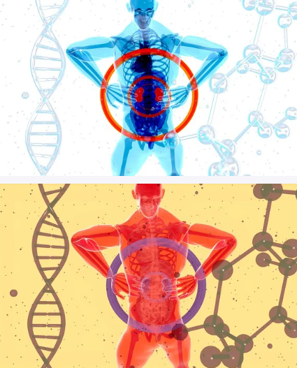 [생로병사] 허리 수술 해야할까? (feat. 척추분리증, 협착증, 측만증)