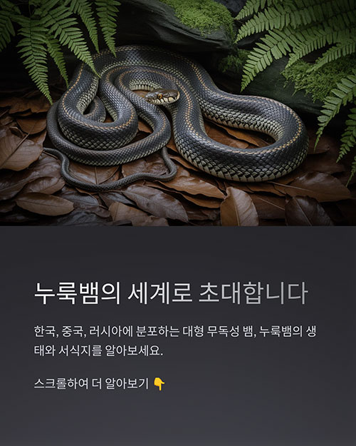 누룩뱀의 서식지와 생태 환경 총정리