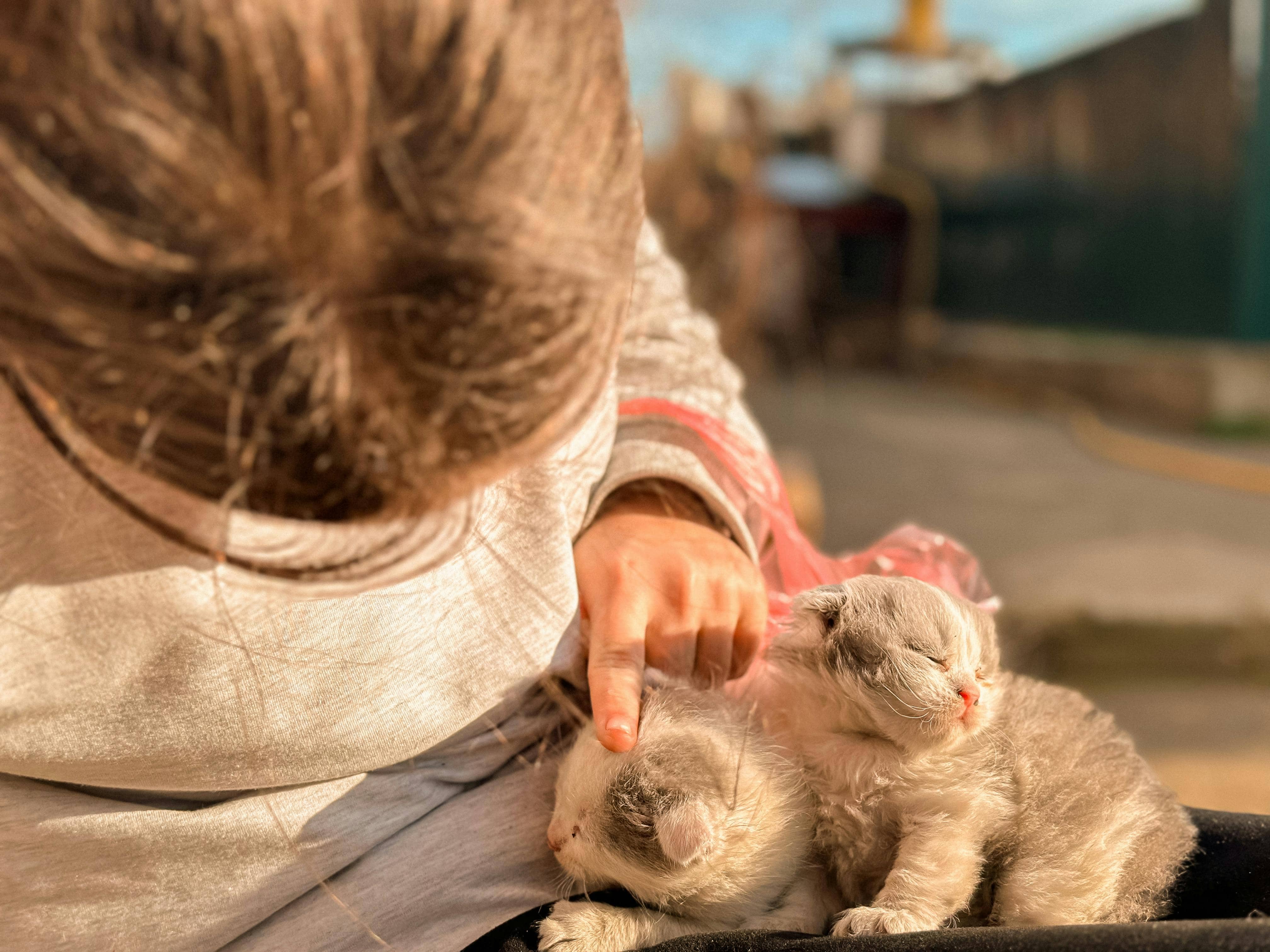 반려동물과 유아의 첫 만남, 어떻게 준비해야 할까?
