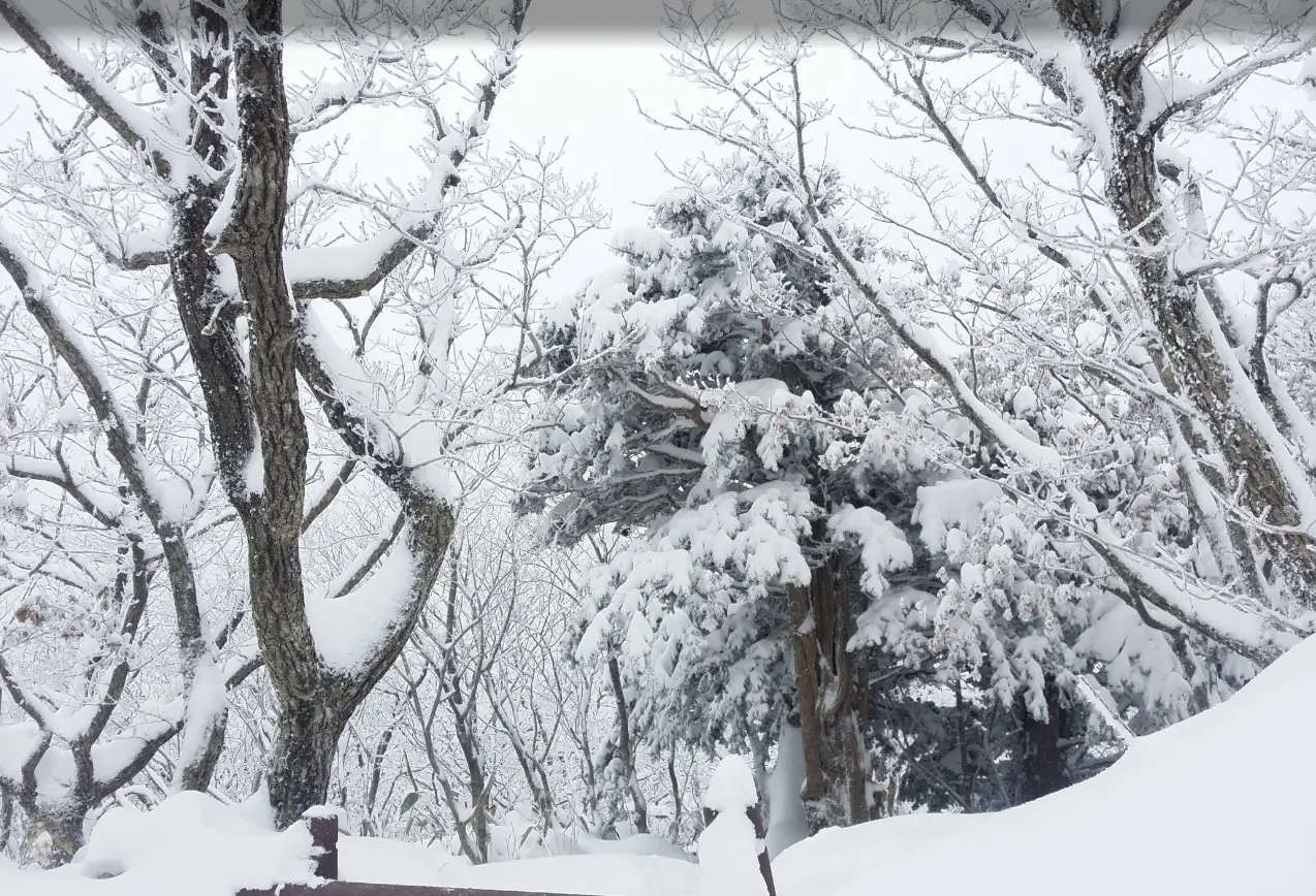 썸네일-산내폭설