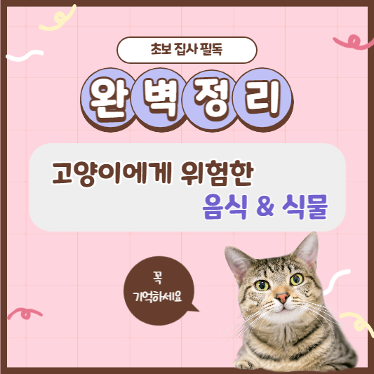 고양이먹으면안되는음식