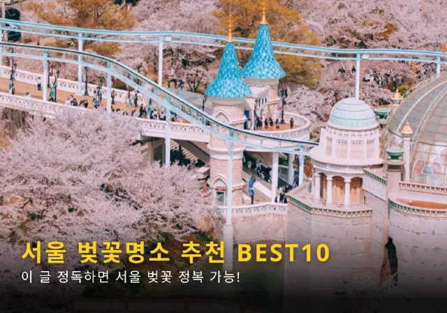 서울 벚꽃 명소 추천 베스트10_8