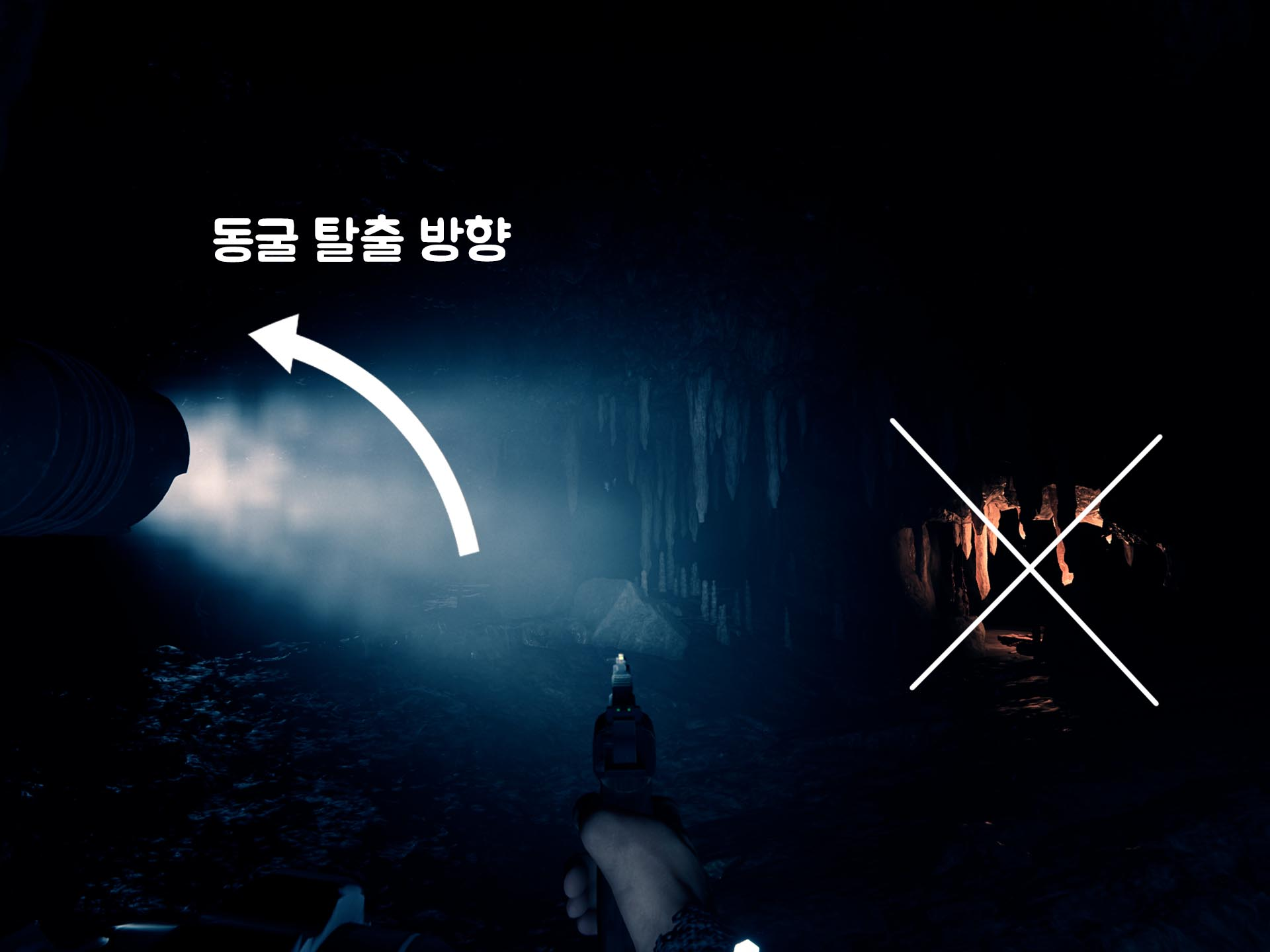 두 갈래 길 모습.