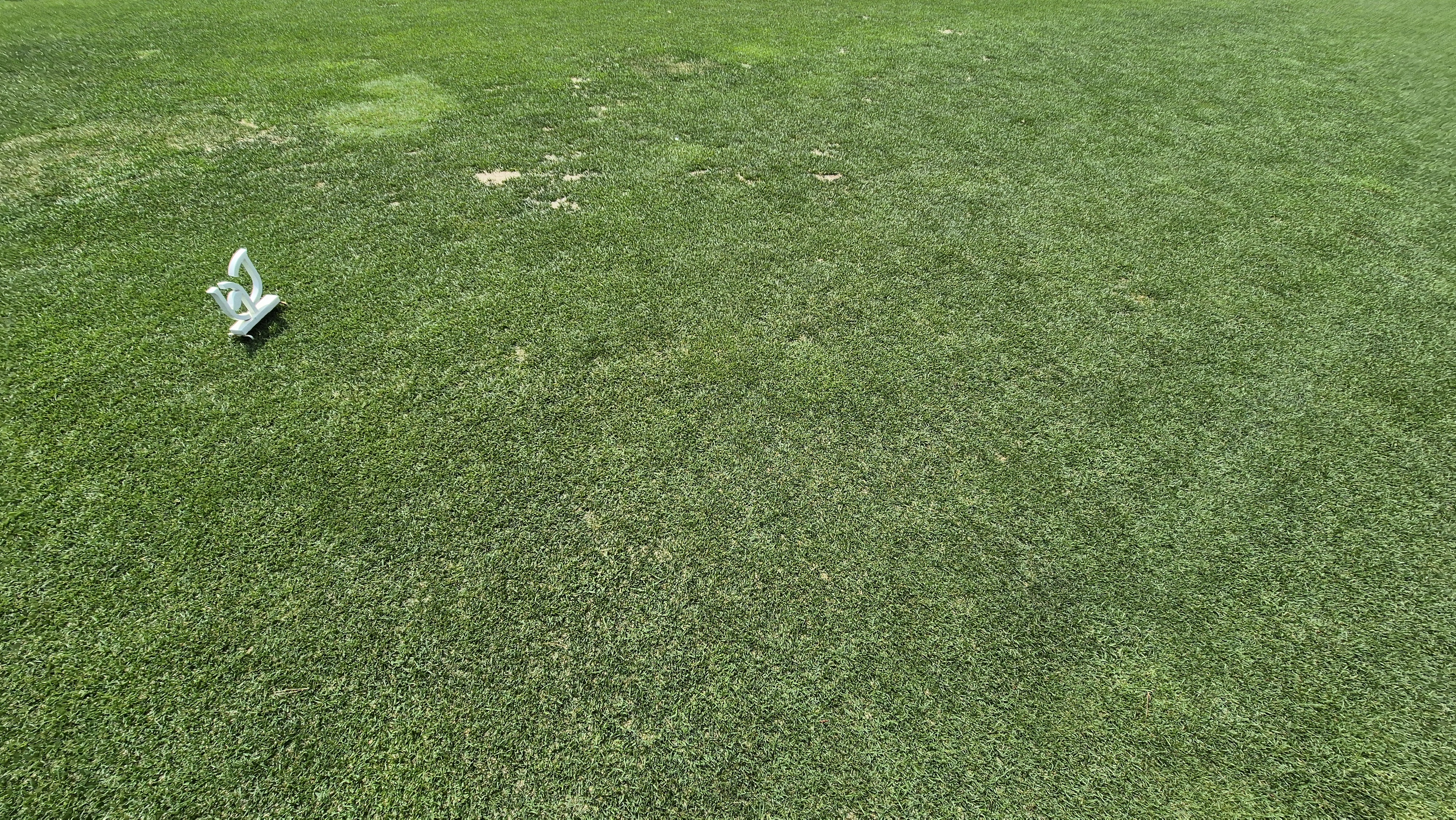 파인리즈cc 라운드 후기