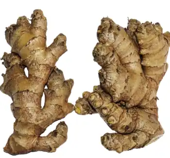 생강 효능 및 부작용, 먹는 방법