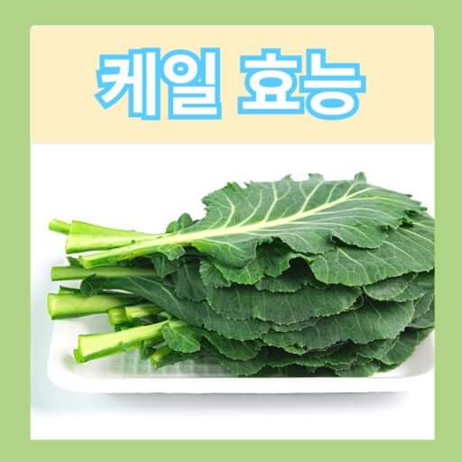 캐일의 많은 효능