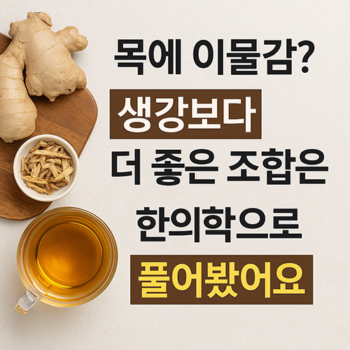 목에-이물감-생강보다-더-좋은-조합은-한의학으로-풀어봤어요
