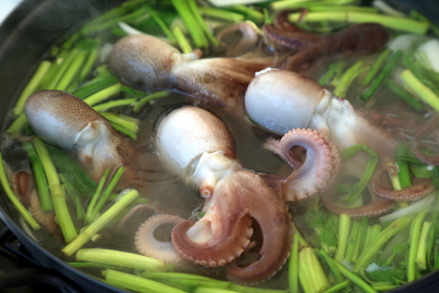 서천 동백꽃 주꾸미축제