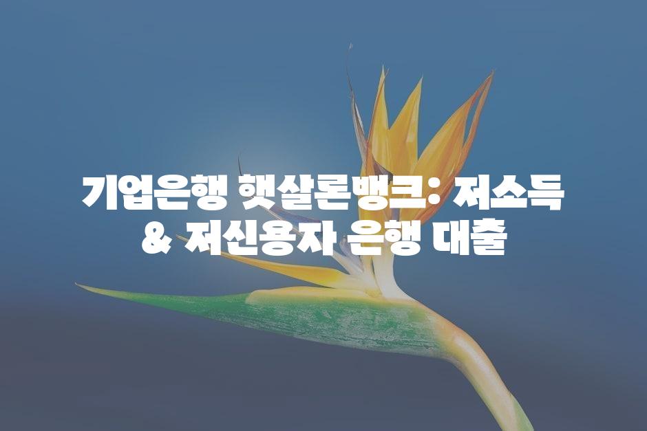 샘플 (45)