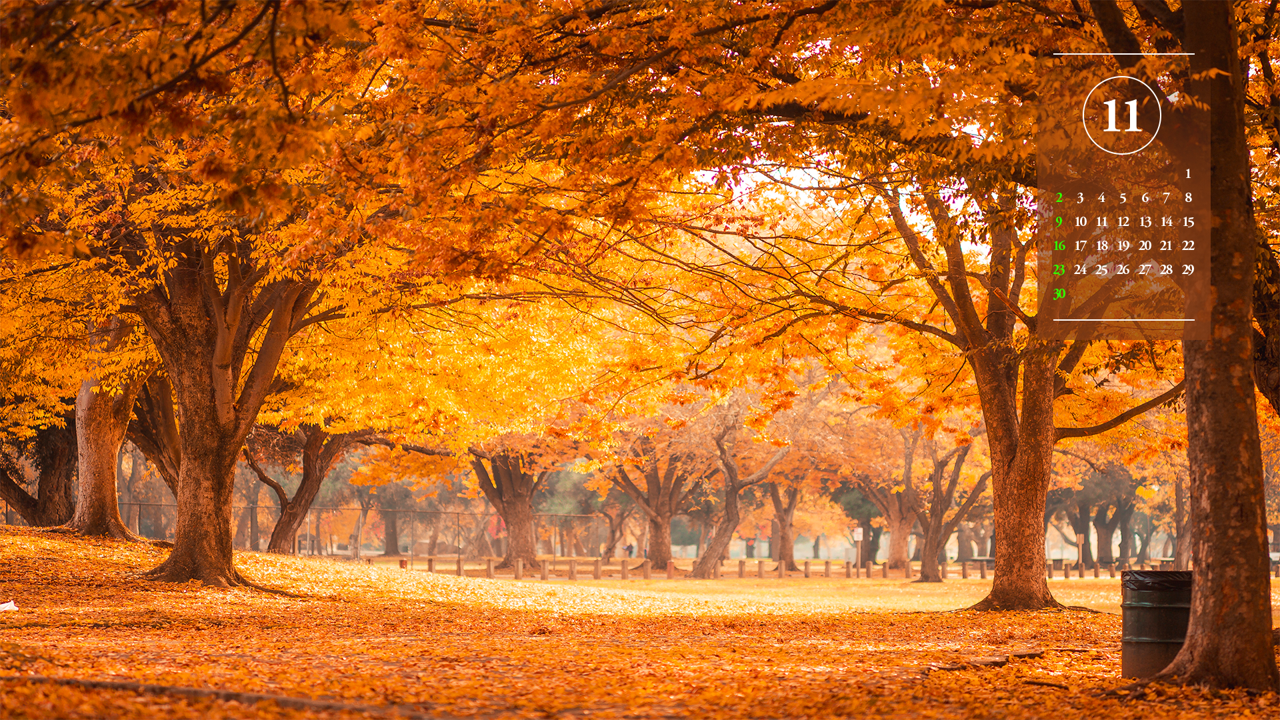09 단풍으로 물든 공원 A - 2025년11월 노트북배경화면