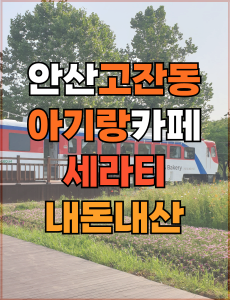 고잔동 감성카페 세라티 내돈내산 리뷰, 아기와 추억 남기기 좋은 장소