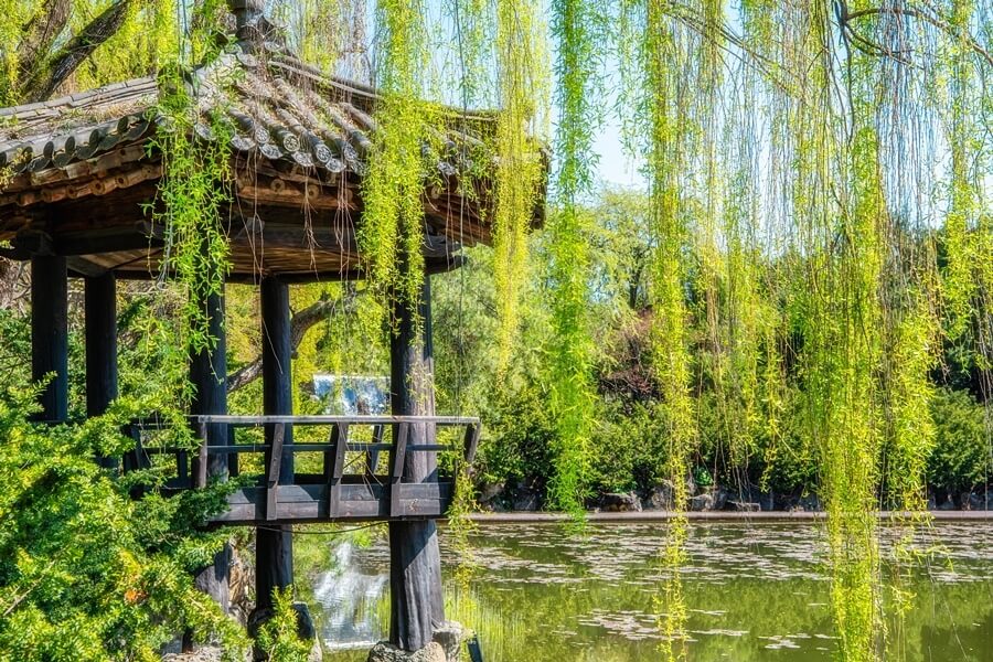 2023 파주 벽초지수목원 백만송이 봄꽃축제