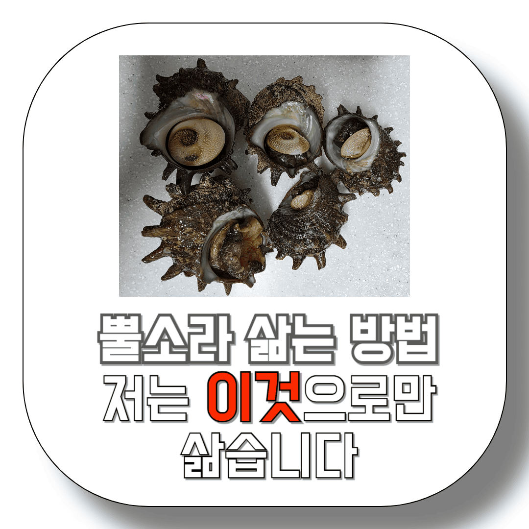 뿔소라-삶는법-저는-이것으로만-삶습니다