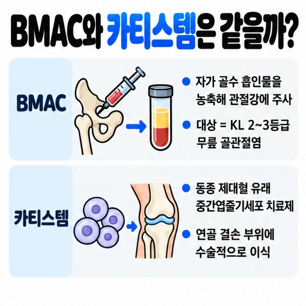 BMAC 자가골수 농축물 주사와 카티스템 제대혈 유래 세포치료제 이식의 차이를 설명한 이미지