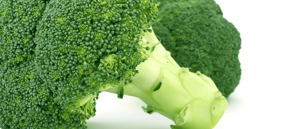 폐렴에 좋은 음식과 관련 있는 사진 - 11