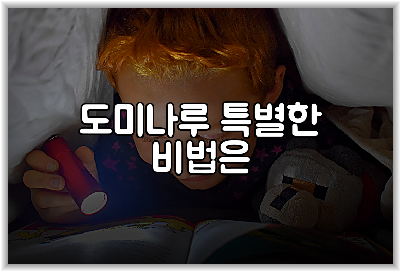 도미나루 특별한 비법은