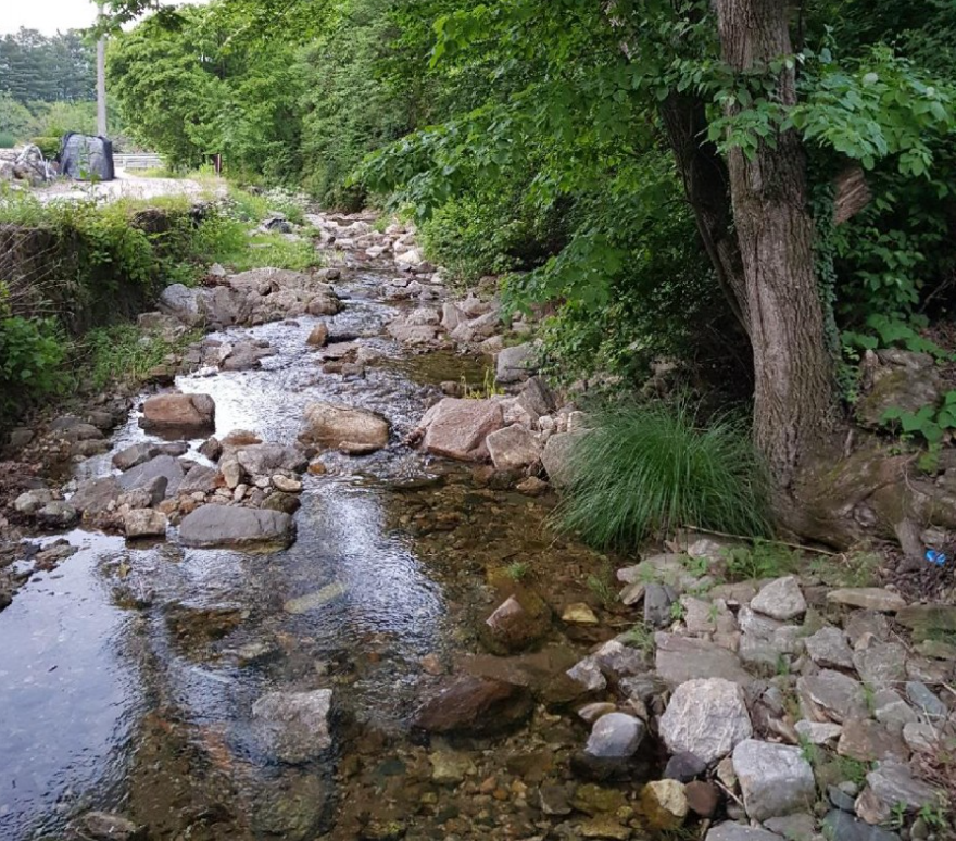 경기-가평-두밀숲-캠핑장-사진-입니다.