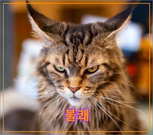 불쾌